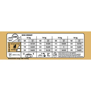 Royal Canin Adult Beagle Dry Dog Food